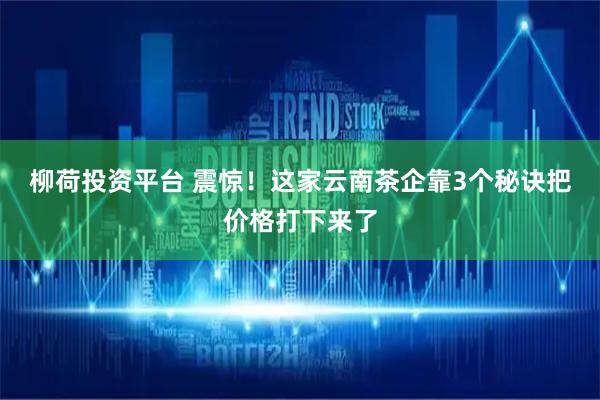 柳荷投资平台 震惊！这家云南茶企靠3个秘诀把价格打下来了