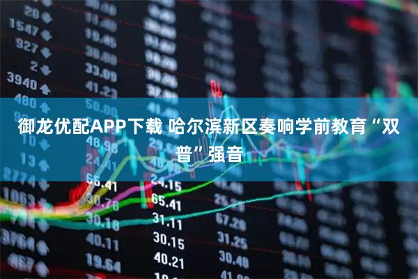 御龙优配APP下载 哈尔滨新区奏响学前教育“双普”强音