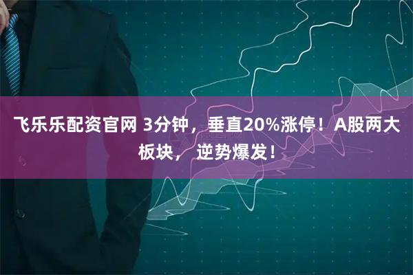 飞乐乐配资官网 3分钟，垂直20%涨停！A股两大板块， 逆势爆发！