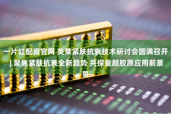 一片红配资官网 美莱紧肤抗衰技术研讨会圆满召开 | 聚焦紧肤抗衰全新趋势 共探童颜胶原应用前景