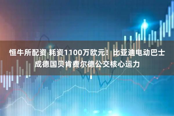 恒牛所配资 耗资1100万欧元！比亚迪电动巴士成德国贝肯费尔德公交核心运力