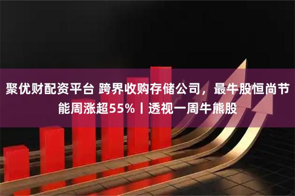 聚优财配资平台 跨界收购存储公司，最牛股恒尚节能周涨超55%丨透视一周牛熊股